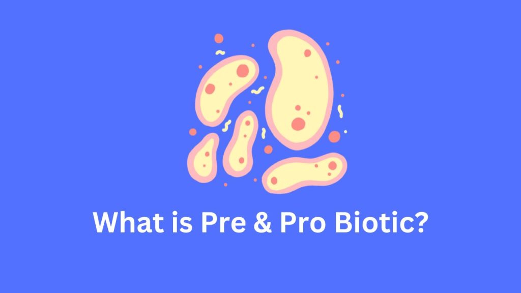 What is Pre & Pro Biotic?