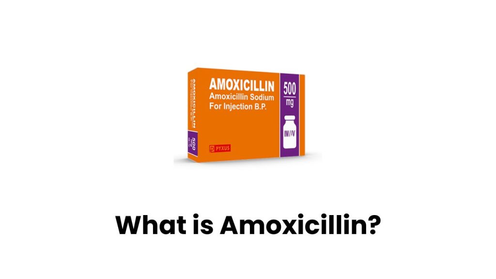 What is Amoxicillin?